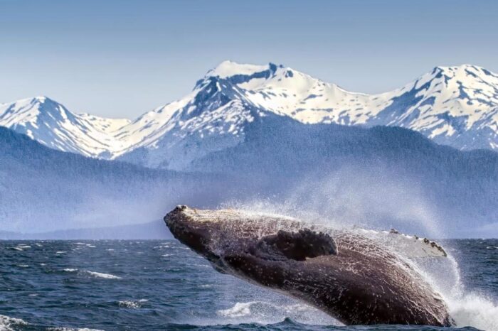 Viaje Completo Alaska