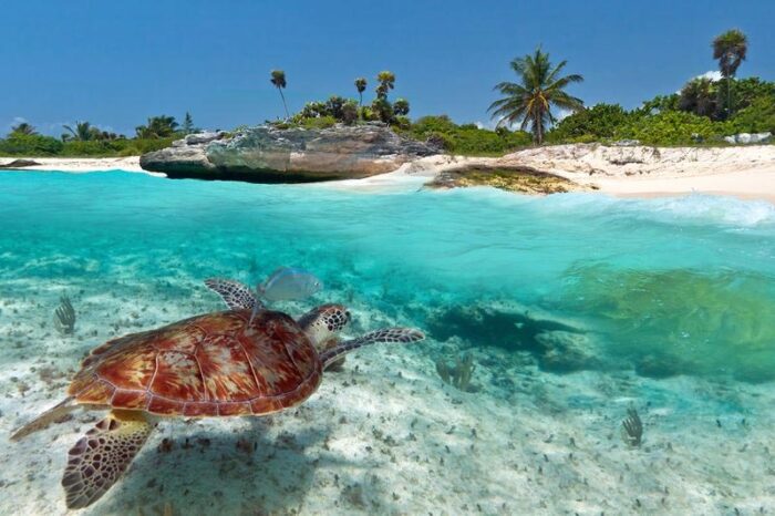 Viaje a Riviera Maya todo incluido