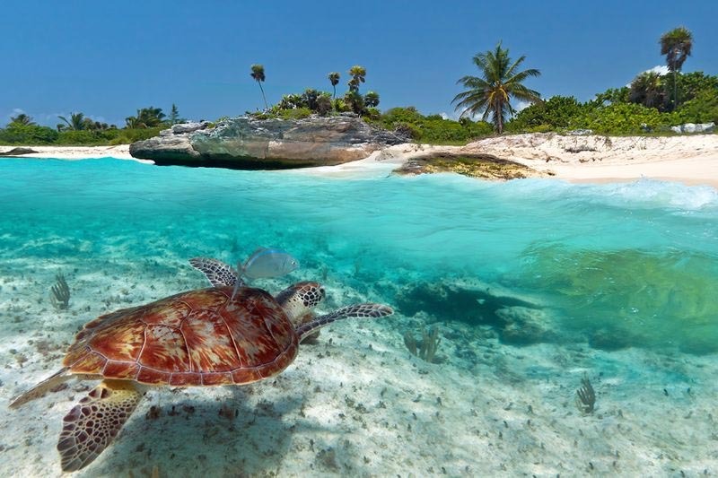 Viaje a Riviera Maya Todo Incluido