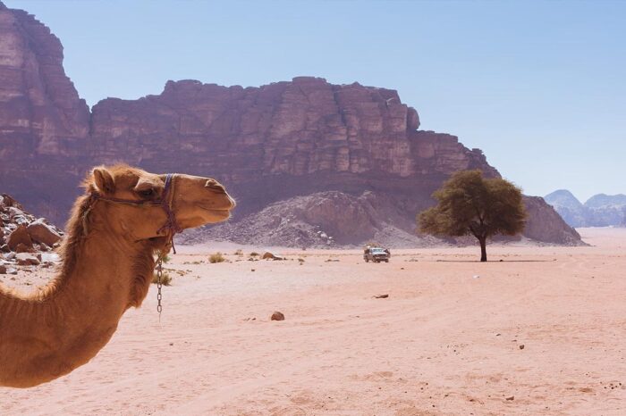 Wadi Rum